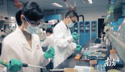 進軍農(nóng)業(yè)現(xiàn)代化|沒有陽光土壤,蔬菜如何生長?探秘海豐神秘的植物工廠