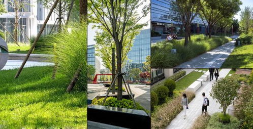 創(chuàng)新與融合 建科園林景觀在工業(yè)園區(qū)的生態(tài)實踐